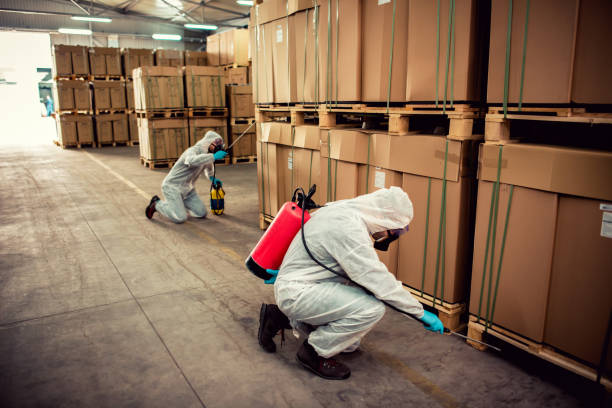 Best Residential Pest Control  in Emerson, NJ