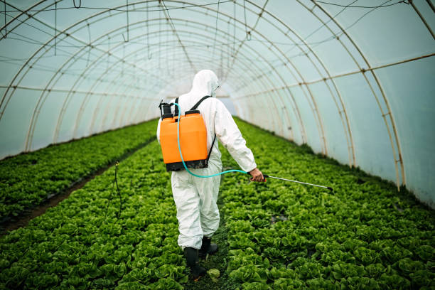 Best Pest Control Treatment  in Emerson, NJ