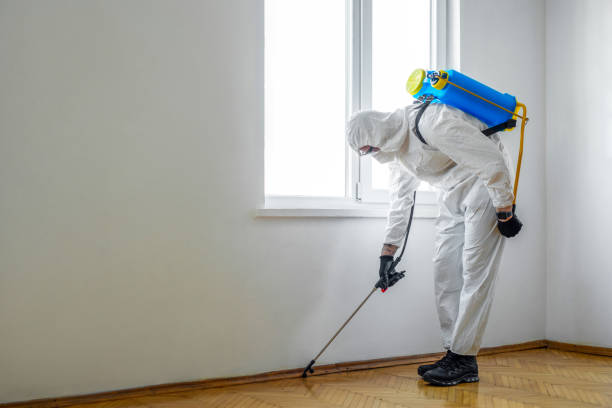 Best Pest Prevention Services  in Emerson, NJ