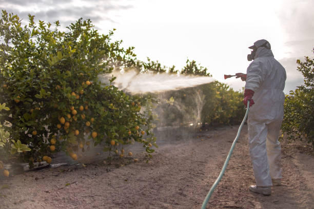 Pest Control for Restaurants in Emerson, NJ