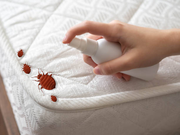 Pest Prevention Services in Emerson, NJ
