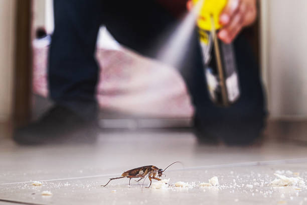 Professional Pest Control in Emerson, NJ