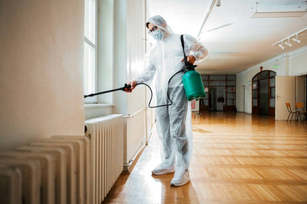 Best Pest Control for Homes  in Emerson, NJ