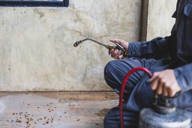 Best Pest Removal Services  in Emerson, NJ